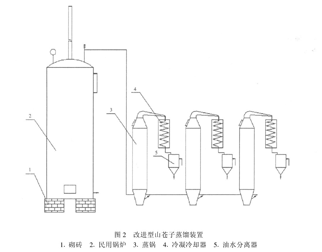 圖2　改進型山蒼子蒸餾裝置