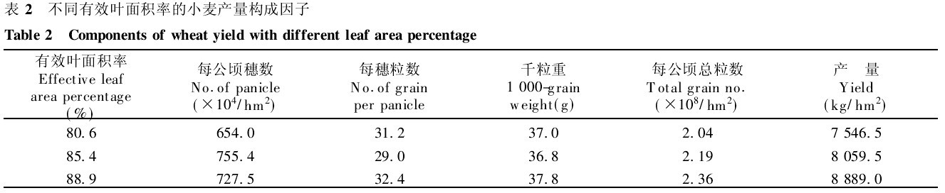 表2　不同有效葉麵積率的小麥產量構成因子