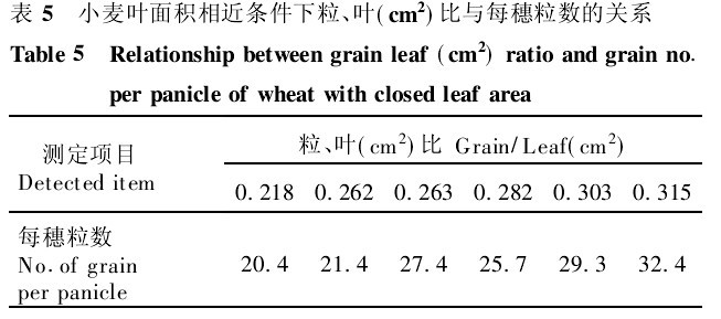 表5　小麥葉麵積相近條件下粒、葉(cm2)比與每穗粒數的關係