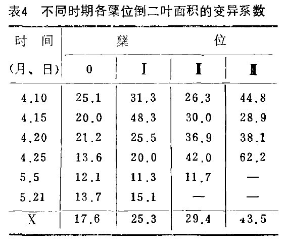 表4  不同時期各蘖位倒二葉麵積的變異係數