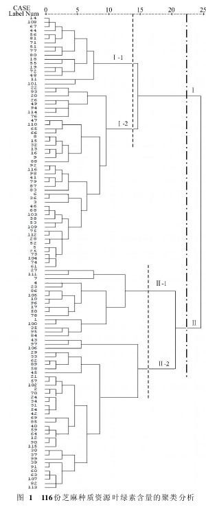 圖1 116份芝麻種質資源葉綠素含量的聚類分析