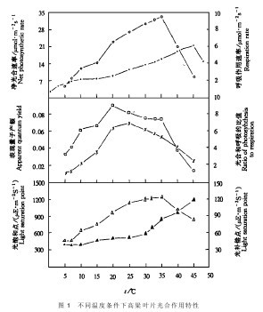 圖1　不同溫度條件下高粱葉片光合作用特性