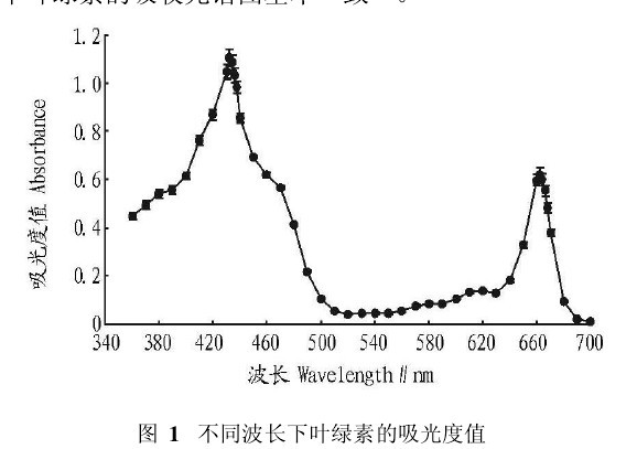 圖1　不同波長下葉綠素的吸光度值