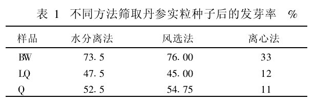 表1 不同方法篩取丹參實粒種子後的發芽率%