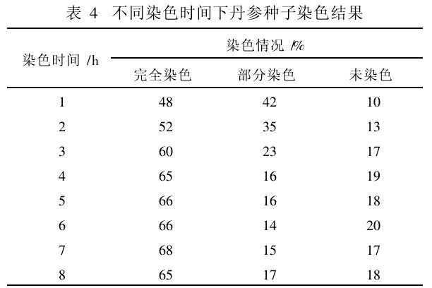 表4 不同染色時間下丹參種子染色結果