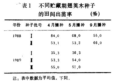 表1  不同貯藏期翅莢木種子的田間出苗率