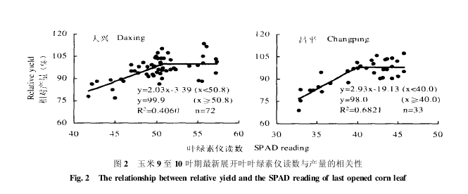 玉米9至10葉期最新展開葉葉綠素儀讀數與產量的相關性