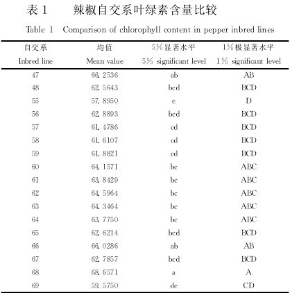 表1 辣椒自交係葉綠素含量比較