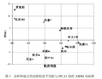 圖1 品種和地點的澱粉粘度平均值與IPCA1值的AMMI雙標圖