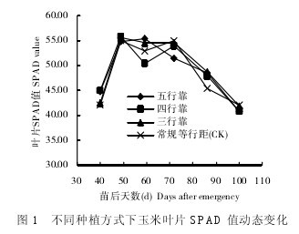 圖1 不同種植方式下玉米葉片SPAD值動態變化