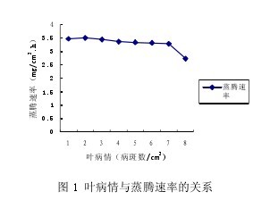 圖 1 葉病情與蒸騰速率的關係