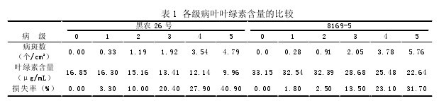 表1 各級病葉葉綠素含量的比較